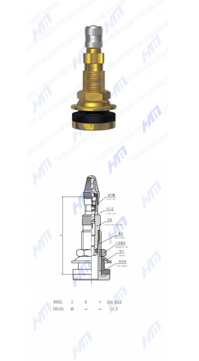 TR618A.png